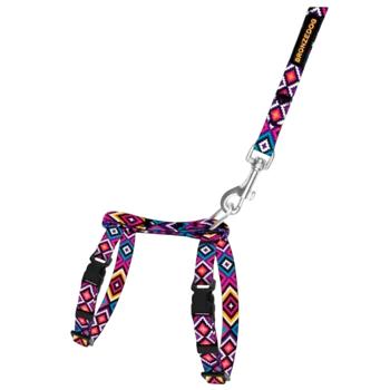 Barksi BronzeDog Urban шлея з повідцем для собак XXS - різнокольоровий - купити, ціни на MasterZoo - фото 1