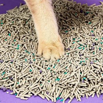Toilet filler Petkit 3600g China - buy, prices for MasterZoo - photo 6