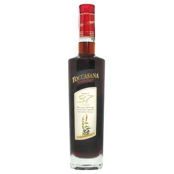 Лікер Toccasana di Teodoro Negro 21% 0,5л - купити, ціни на МегаМаркет - фото 1