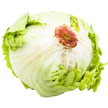 Metro Chef Iceberg Salad 350g - buy, prices for - photo 2