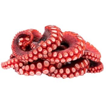 Chilled Totani Squid Tentacles - buy, prices for - photo 2