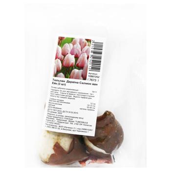 Darwin Salmon Van Eyck Tulip Bulb 3pcs - buy, prices for ULTRAMARKET - photo 1