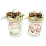 Actuel Orange and Cinnamon Scented Candle in Glass 7x8cm in assortment