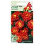 Agrokontrakt Marigolds Carmen Seeds 0.5g