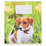 Poligrafist 24 Sheets Checkered Excercise Book