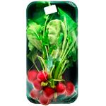 Radish 1pc