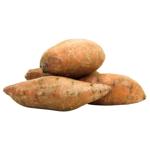 Sweet Potato