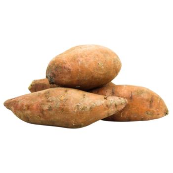Sweet Potato - buy, prices for METRO - photo 1