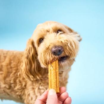 Knash Woofa Loofa Snack for Dental Health of Small Breed Dogs with Apple, Peanut Butter and Turmeric 115g - buy, prices for - photo 7