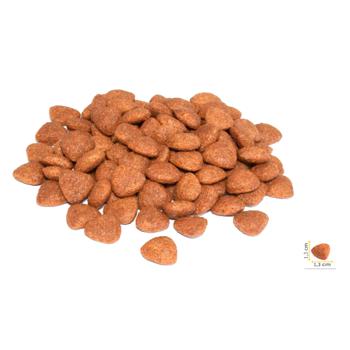 BonaCibo Dry Food with Chicken, Anchovies and Rice for Adult Dogs of All Breeds 4kg - buy, prices for - photo 3