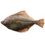 Flounder 300-400g