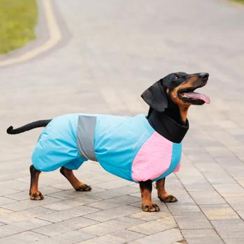 Комбінезон для собак Pet Fashion Milly зі світловідбиваючими елементами р.XL коргі - купити, ціни на MasterZoo - фото 6