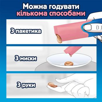 Felix Deli Moments Cat Snack with Salmon 4pcs*10g - buy, prices for Chudo Market - photo 5