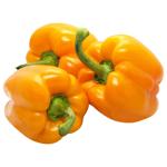 Orange Pepper