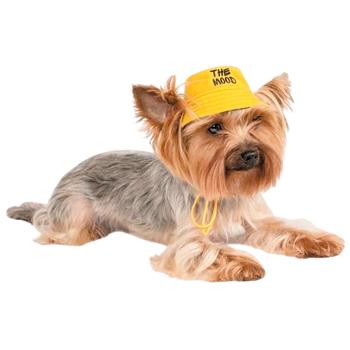 Pet Fashion Party Panama Hat for Dogs s.M - buy, prices for MasterZoo - photo 1