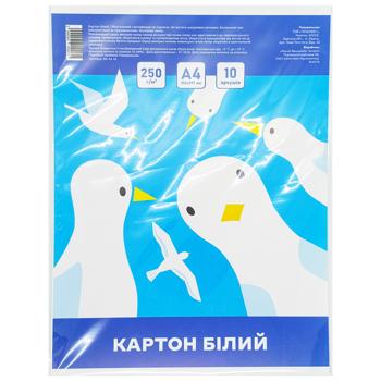 White Cardboard A4 10 sheets