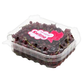 Red Currant 250g