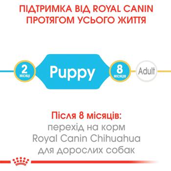 Корм сухой Royal Canin с домашней птицей для щенков породы чихуахуа 1,5кг - купить, цены на MasterZoo - фото 7