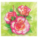 ArtPresent B Gift Package
