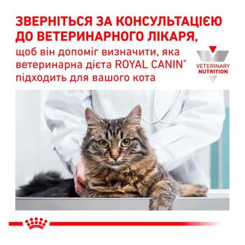Сухий корм для котів Royal Canin Renal Select 400 г - купить, цены на MasterZoo - фото 3