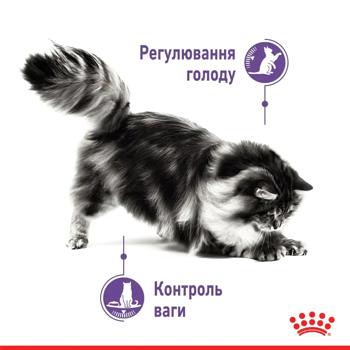 Корм влажный Royal Canin Appetite Control для контроля аппетита и веса кошек 85г - купить, цены на MasterZoo - фото 5