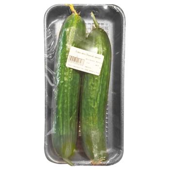 Ukraine Premium Cucumber - buy, prices for - photo 2