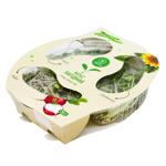 Смесь ростков Zelen Микс Нежный 75г