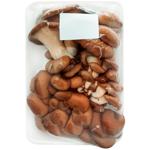 Гриби Гливи (ваг) Україна