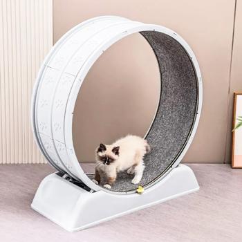 Lapka Cat Exercise Wheel 86x27x80cm - buy, prices for MasterZoo - photo 4