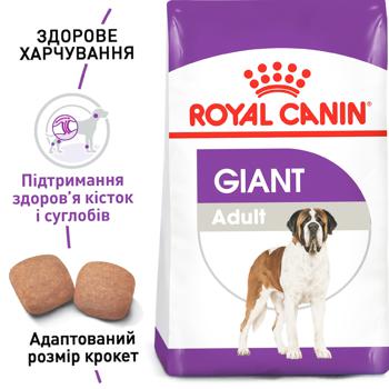 Корм сухий Royal Canin Giant Adult з домашньою птицею для дорослих собак гігантських порід 15кг - купити, ціни на - фото 3