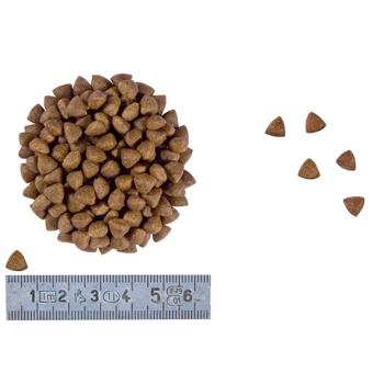 Корм сухой Royal Canin Gastrointestinal для котят с заболеваниями желудочно-кишечного тракта 2кг - купить, цены на MasterZoo - фото 2