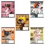 Тетрадь Yes Animal's Fashion линия А5 48 листов