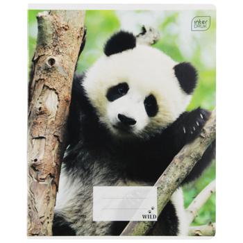 Зошит Interdruk Mix А5 в асортименті - купити, ціни на ULTRAMARKET - фото 2