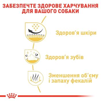 Корм сухий Royal Canin Adult з домашньою птицею для собак породи ши-тцу 1,5кг - купити, ціни на MasterZoo - фото 5