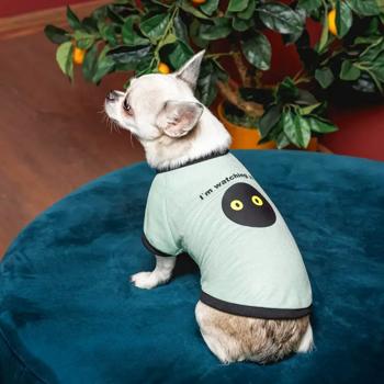 Pet Fashion Oscar футболка для собак S - купити, ціни на MasterZoo - фото 2
