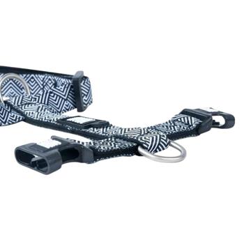 Leash Max and molly Germany - buy, prices for MasterZoo - photo 2