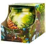 Свічка Miral Хвоя в склі