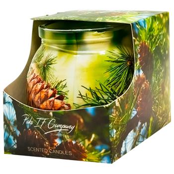 Miral Needles Candle in Glass