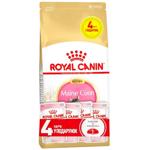 Набір корму Royal Canin для кошенят породи мейн-кун cухий 2кг + вологий 4шт х 85г