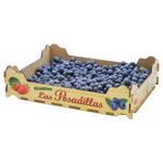 Blueberry