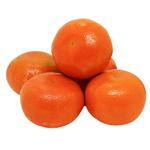 Murcott Mandarin