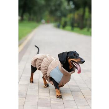 Vest Pet fashion Ukraine - buy, prices for MasterZoo - photo 6
