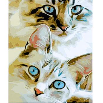 Strateg Cat's Curiosity Painting by Numbers 40x50cm - buy, prices for - photo 1
