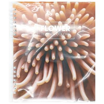 Notebook Optima checkered 60pages b5 - buy, prices for Tavria V - photo 3