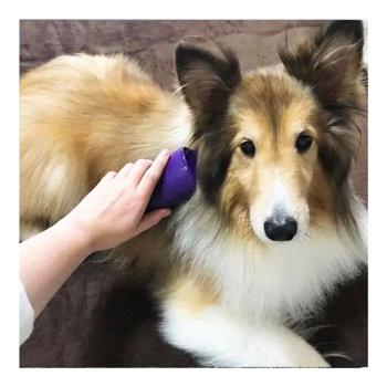 Brush Pet teezer - buy, prices for MasterZoo - photo 2