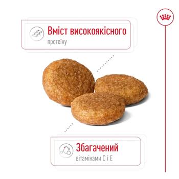 Корм сухий Royal Canin Medium Adult з домашньою птицею для собак середніх порід 3кг - купити, ціни на MasterZoo - фото 5