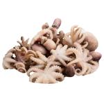 Vici Cleaned Octopus 60+ 1kg