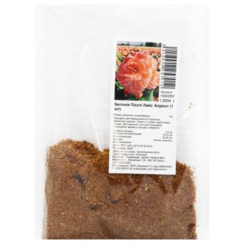 Picoti Lace Apricot Begonia Bulb 1pc - buy, prices for ULTRAMARKET - photo 1