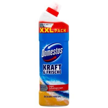 Cleaning mean Domestos for toilets 1000ml Hungary - buy, prices for Auchan - photo 1
