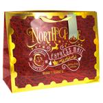 Magic Mail Gift Bag 32х26x10cm in assortment